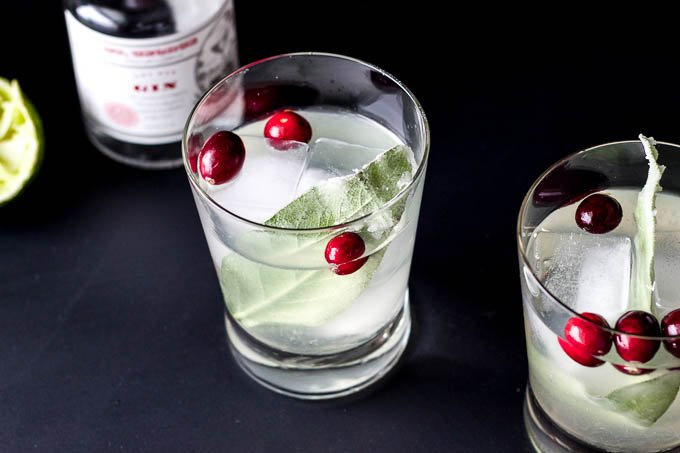 Cranberry Sage Cocktail – Salted Plains