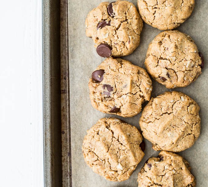 Gluten-Free Peanut Butter Oatmeal Chocolate Chip Cookies (Vegan) – Salted Plains