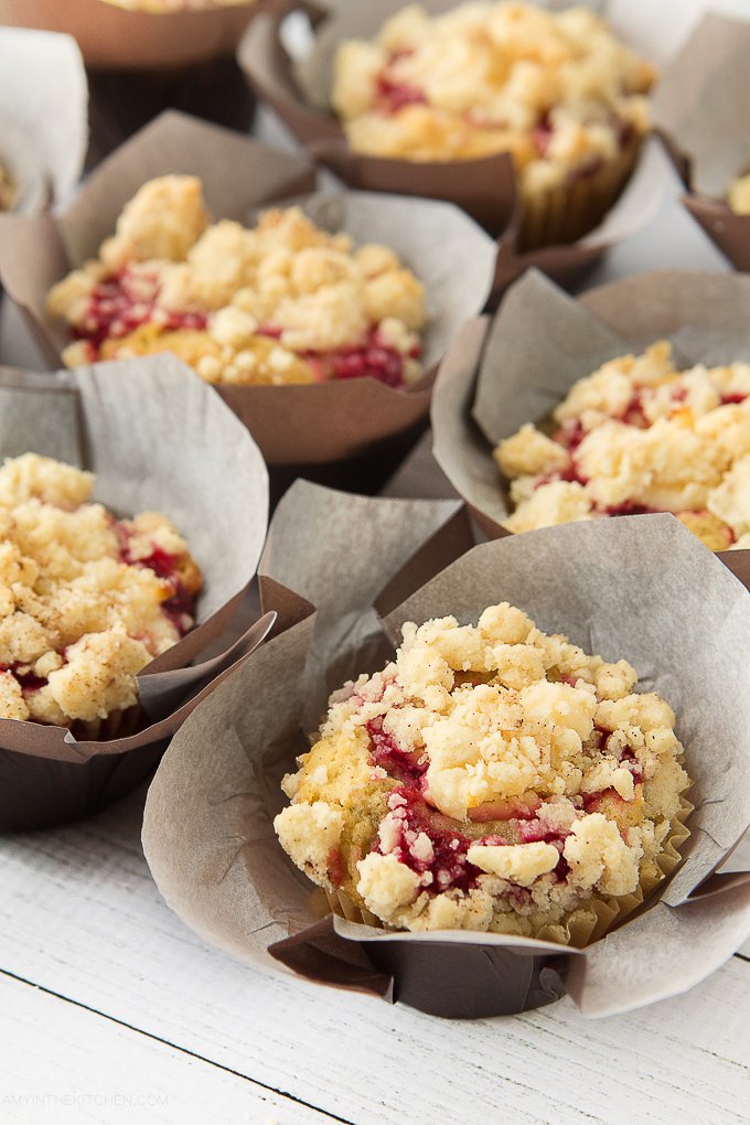 Cranberry Orange Muffins {GF} – Amy in the Kitchen