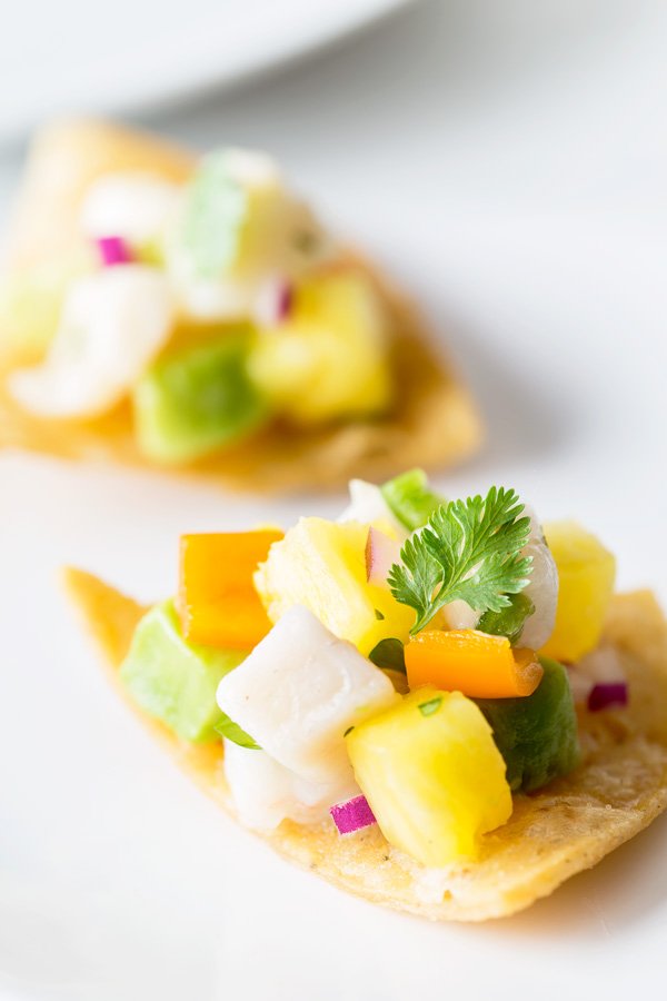 Shrimp and Pineapple Ceviche – So Munch Love